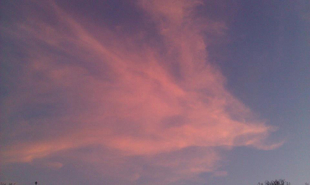 Sunset Dragon Sylph St Cloud MN